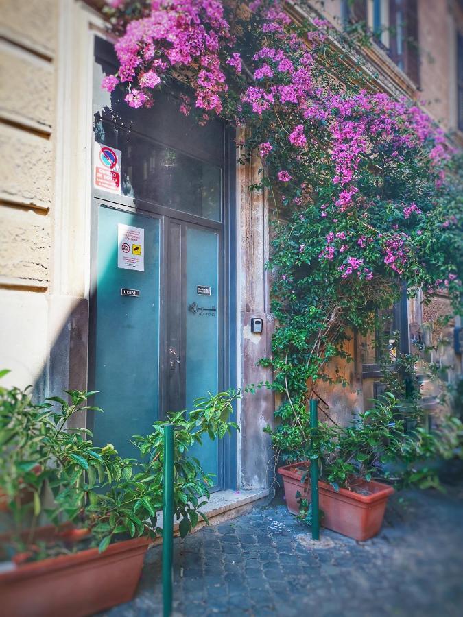 Trastevere Glasshouse Roma Exterior foto